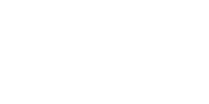 Bundy