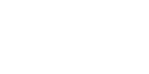 Shyam Metalics